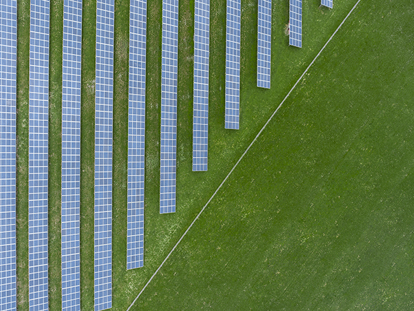 {single_image_alt_tag}