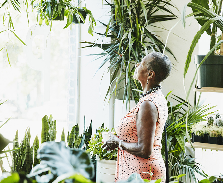Edlerly woman admiring plants
