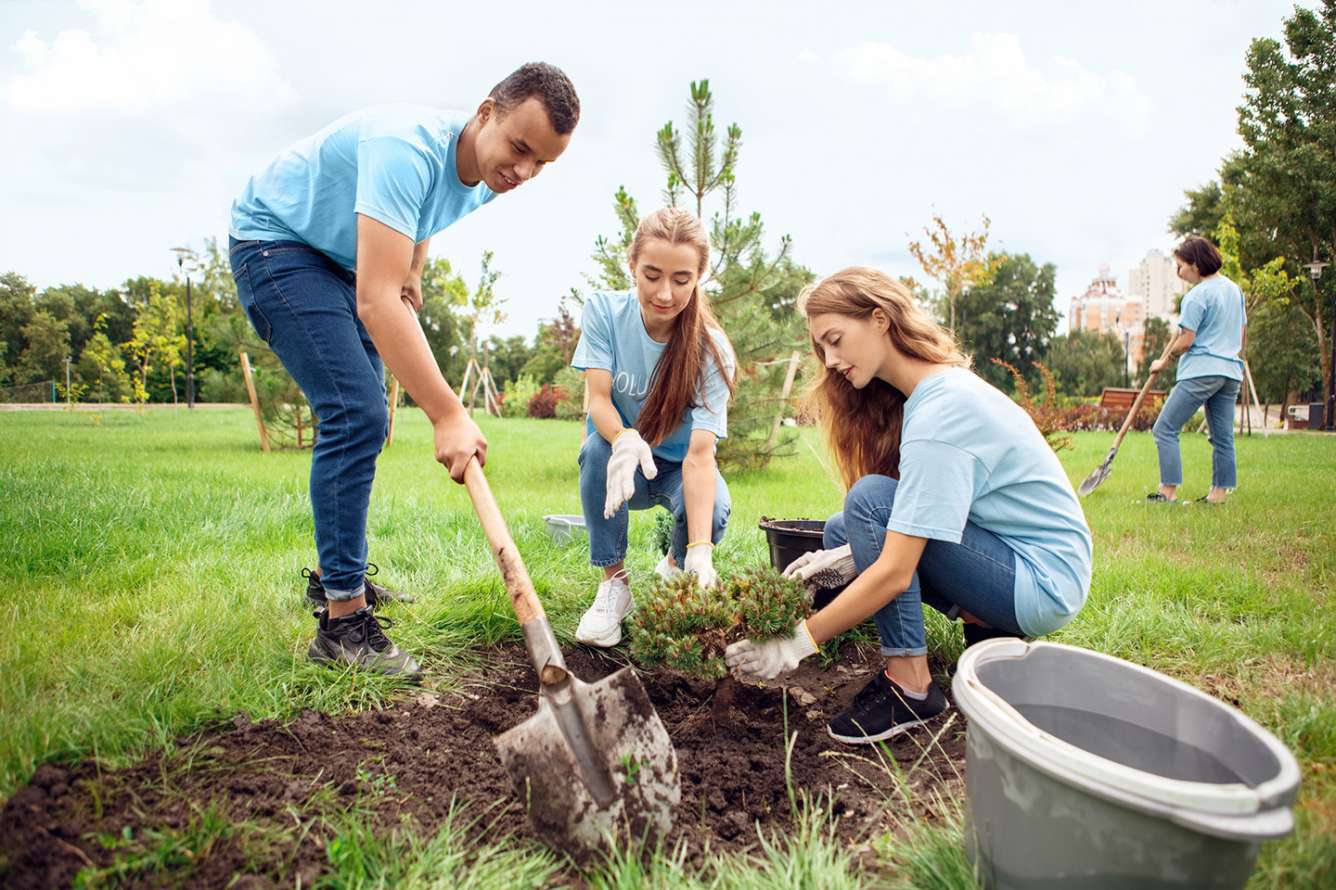 Young people volunteer outdoors planting trees