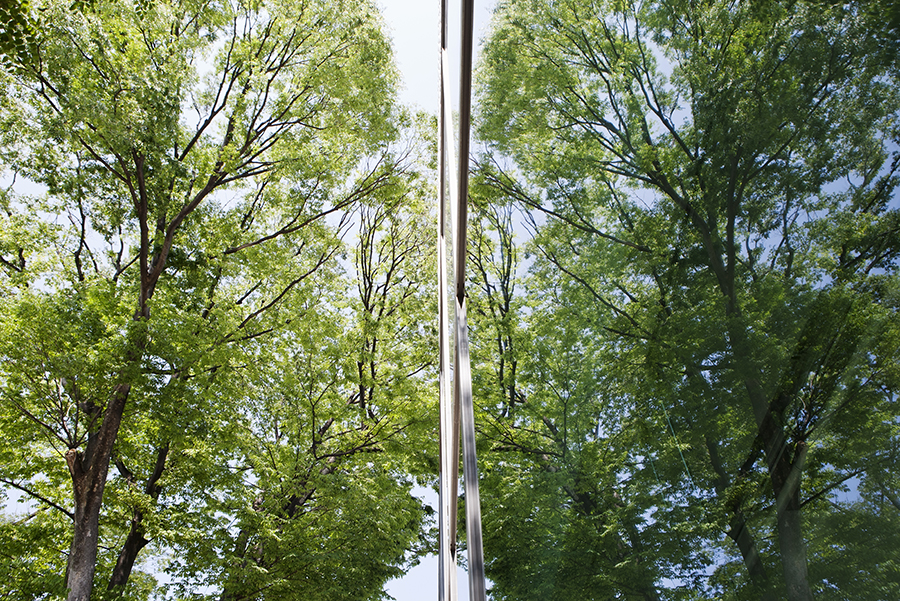 Glass-walled building reflecting trees symmetrically