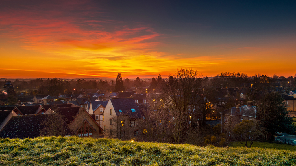 {single_image_alt_tag}