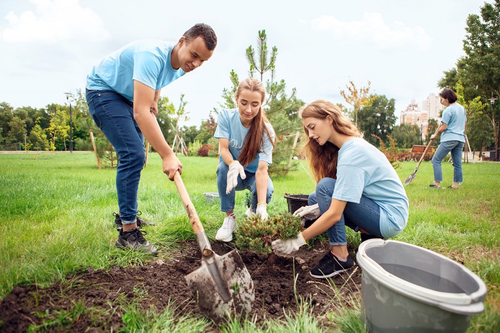 Young people volunteer outdoors planting trees