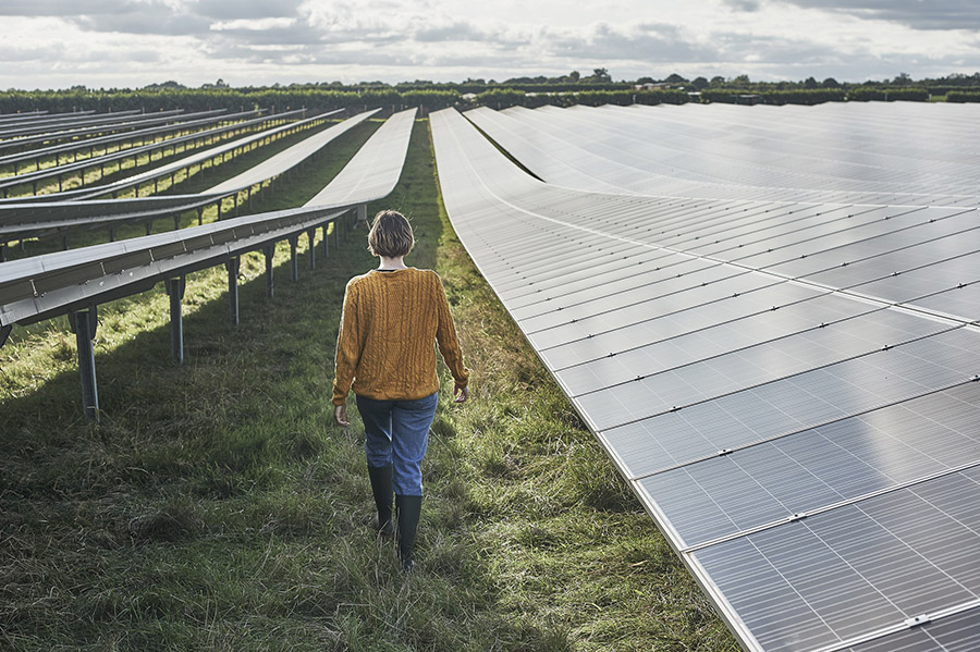 Woman walking through solar panel farm